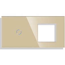 Combined Glass Frame ( 1Touch +1 Plug) - GOLD